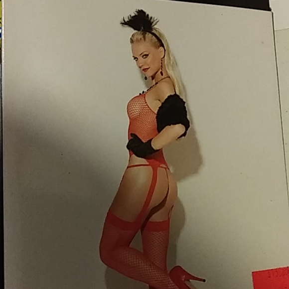 Red Fence Net Set - Picture 2 of 2